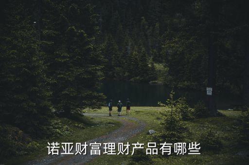 諾亞財(cái)富理財(cái)產(chǎn)品有哪些