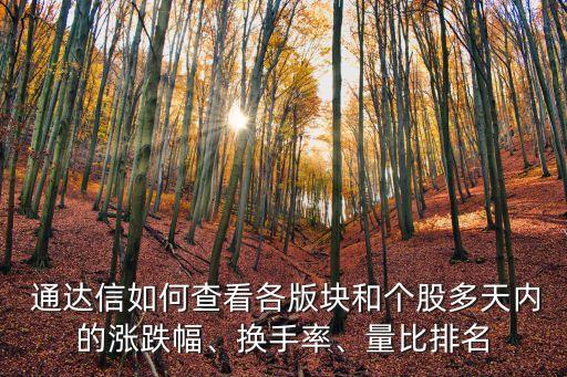  通達(dá)信如何查看各版塊和個(gè)股多天內(nèi)的漲跌幅、換手率、量比排名