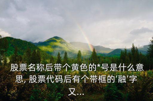 股票上顯示標(biāo)星號,股票標(biāo)星號是什么意思