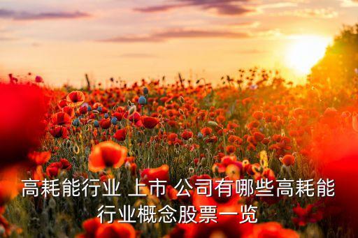 高耗能行業(yè) 上市 公司有哪些高耗能行業(yè)概念股票一覽