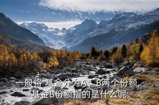 一般將 基金分為A、B兩個份額, 基金B(yǎng)份額指的是什么呢