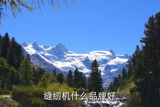 縫紉機什么品牌好