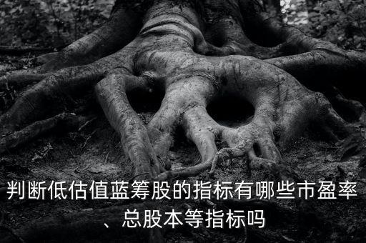 判斷低估值藍籌股的指標(biāo)有哪些市盈率、總股本等指標(biāo)嗎