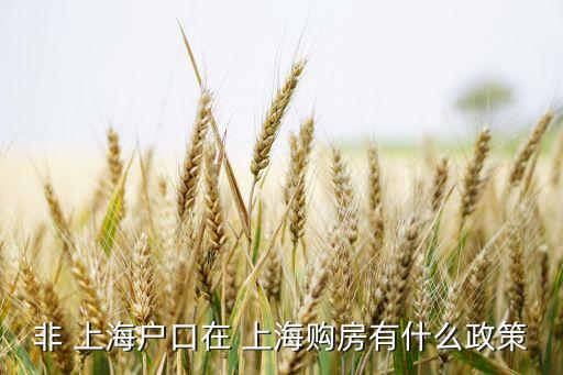 非 上海戶口在 上海購(gòu)房有什么政策