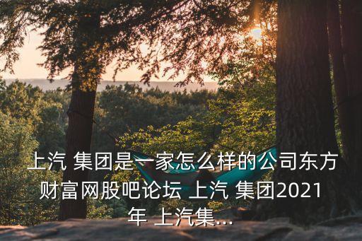  上汽 集團(tuán)是一家怎么樣的公司東方財(cái)富網(wǎng)股吧論壇 上汽 集團(tuán)2021年 上汽集...