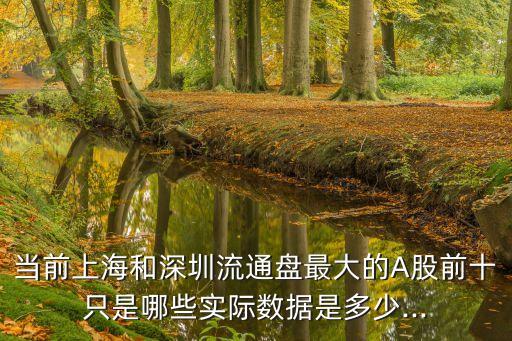 當(dāng)前上海和深圳流通盤(pán)最大的A股前十只是哪些實(shí)際數(shù)據(jù)是多少...