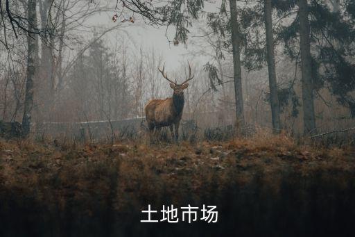上海工業(yè)土地拍賣(mài),寧波工業(yè)土地拍賣(mài)最新消息