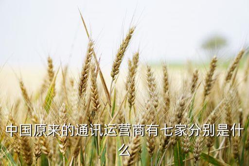 中國(guó)電信信息化貢獻(xiàn),6月6日,工業(yè)和信息化部向中國(guó)電信