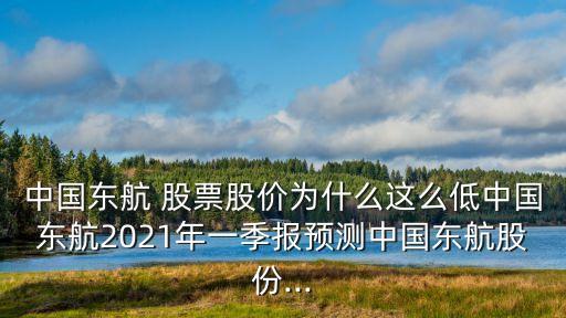 中國東航 股票股價為什么這么低中國東航2021年一季報預(yù)測中國東航股份...