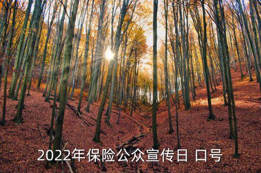 中國人壽保險(xiǎn)財(cái)保險(xiǎn)品牌口號是