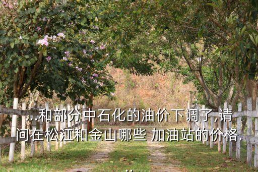 ...和部分中石化的油價下調了,請問在松江和金山哪些 加油站的價格...
