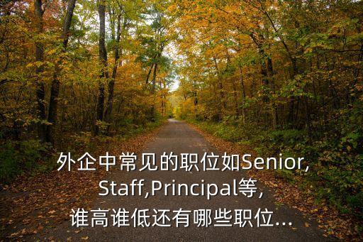  外企中常見的職位如Senior,Staff,Principal等,誰(shuí)高誰(shuí)低還有哪些職位...