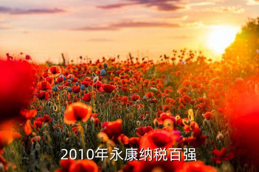 2010年永康納稅百?gòu)?qiáng)
