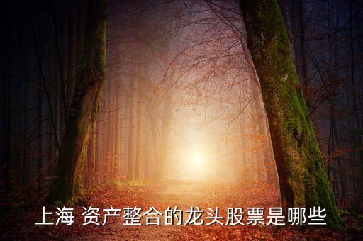 天首集團資產(chǎn),民天集團資產(chǎn)管理公司