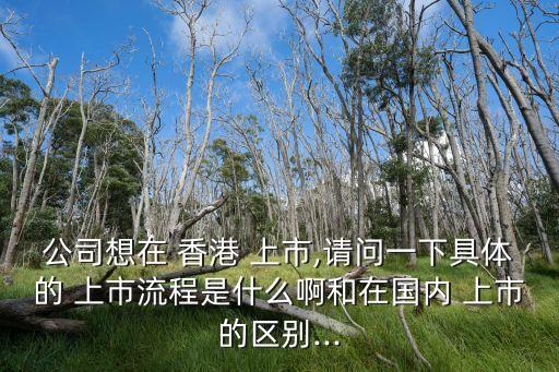 公司想在 香港 上市,請(qǐng)問一下具體的 上市流程是什么啊和在國(guó)內(nèi) 上市的區(qū)別...