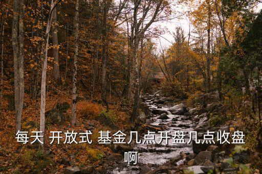 每天 開(kāi)放式 基金幾點(diǎn)開(kāi)盤(pán)幾點(diǎn)收盤(pán)啊