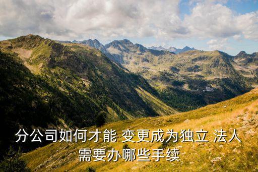 分公司如何才能 變更成為獨(dú)立 法人需要辦哪些手續(xù)