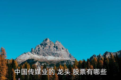 中國(guó)傳媒業(yè)的 龍頭 股票有哪些