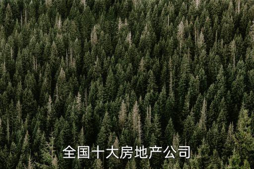 全國(guó)十大房地產(chǎn)公司