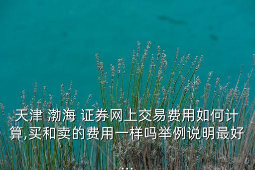 天津 渤海 證券網(wǎng)上交易費(fèi)用如何計(jì)算,買(mǎi)和賣(mài)的費(fèi)用一樣嗎舉例說(shuō)明最好...