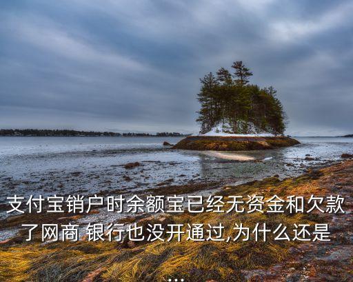 支付寶銷戶時(shí)余額寶已經(jīng)無(wú)資金和欠款了網(wǎng)商 銀行也沒開通過,為什么還是...