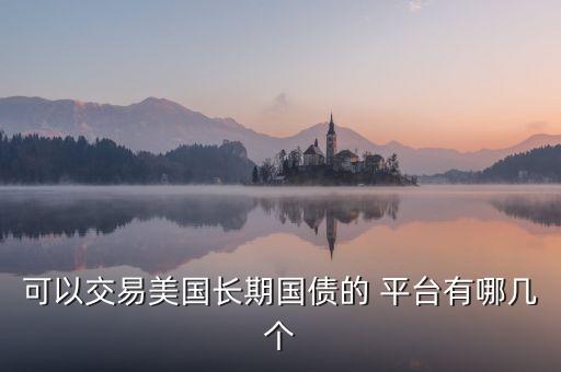 可以交易美國長期國債的 平臺有哪幾個(gè)