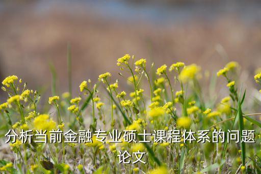 分析當(dāng)前金融專(zhuān)業(yè)碩士課程體系的問(wèn)題 論文