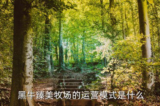  黑牛臻美牧場的運營模式是什么