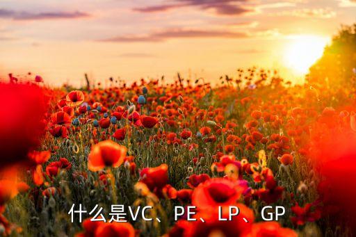 什么是VC、PE、LP、GP