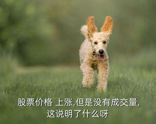  股票價(jià)格 上漲,但是沒有成交量,這說(shuō)明了什么呀