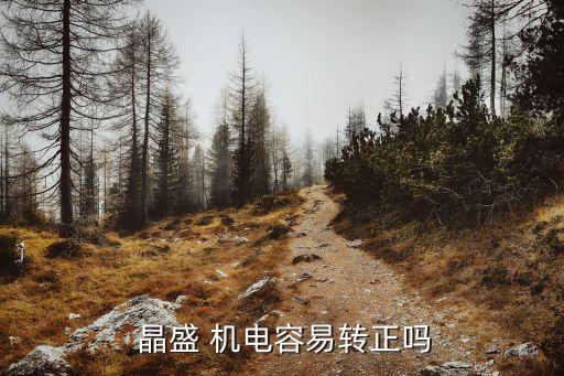 晶盛 機電容易轉(zhuǎn)正嗎