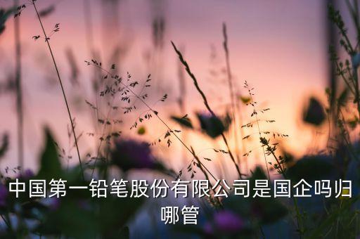 中國(guó)第一鉛筆股份有限公司是國(guó)企嗎歸哪管