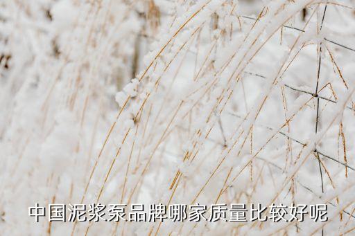 中國(guó)泥漿泵品牌哪家質(zhì)量比較好呢