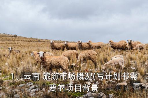 1、云南 旅游市場概況(寫計劃書需要的項目背景