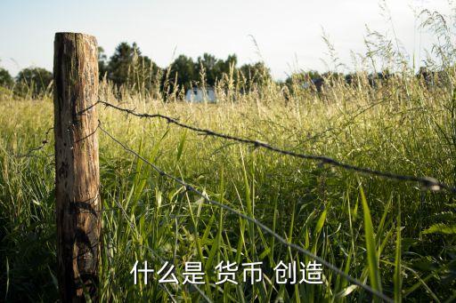 銀行體系的貨幣創(chuàng)造功能,整個銀行體系創(chuàng)造存款貨幣的基礎