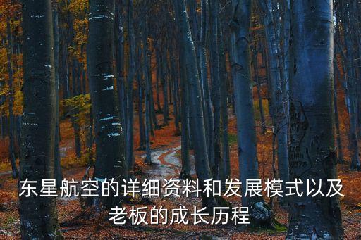 東星航空公司的總經(jīng)理,中國東星航空公司