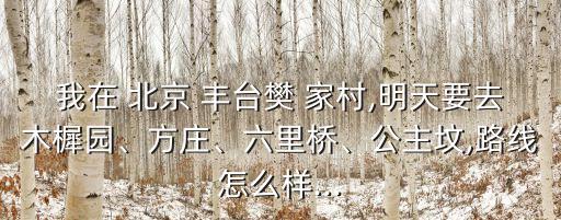 我在 北京 豐臺(tái)樊 家村,明天要去木樨園、方莊、六里橋、公主墳,路線怎么樣...