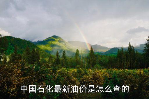 中國石化最新油價是怎么查的
