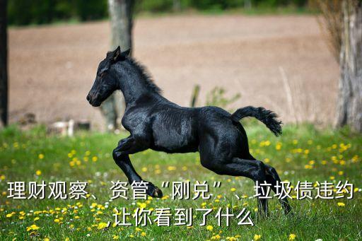 中國實(shí)施債轉(zhuǎn)股的背景
