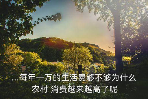 ...每年一萬的生活費(fèi)夠不夠為什么 農(nóng)村 消費(fèi)越來越高了呢
