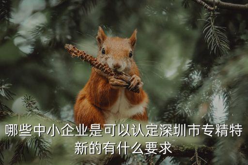 哪些中小企業(yè)是可以認定深圳市專精特新的有什么要求