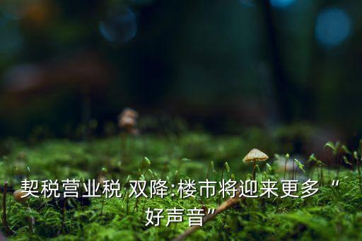 契稅營業(yè)稅 雙降:樓市將迎來更多“好聲音”
