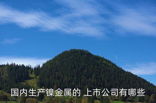 國(guó)內(nèi)生產(chǎn)鎳金屬的 上市公司有哪些