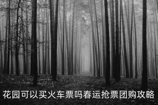 花園可以買火車票嗎春運(yùn)搶票團(tuán)購攻略