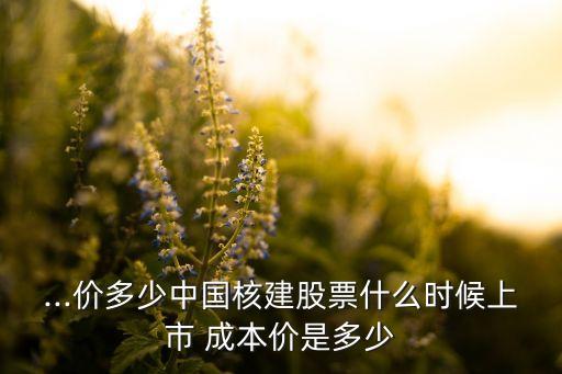 ...價(jià)多少中國核建股票什么時(shí)候上市 成本價(jià)是多少