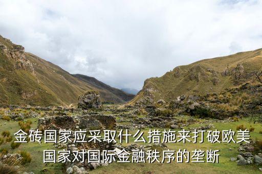  金磚國(guó)家應(yīng)采取什么措施來打破歐美國(guó)家對(duì)國(guó)際金融秩序的壟斷