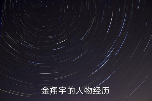 金翔宇的人物經歷