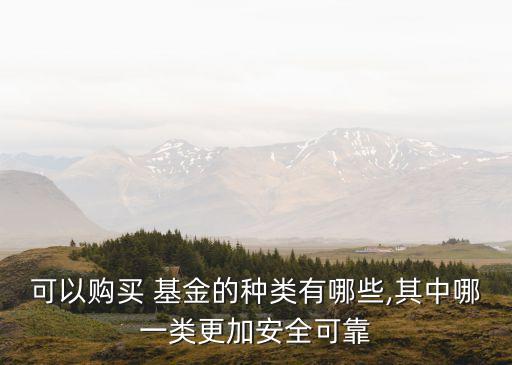 可以購(gòu)買 基金的種類有哪些,其中哪一類更加安全可靠