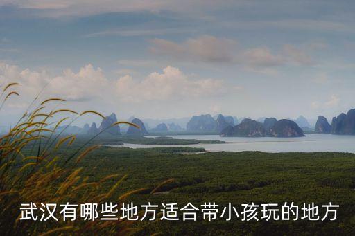  武漢有哪些地方適合帶小孩玩的地方