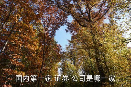 國(guó)內(nèi)第一家 證券 公司是哪一家
